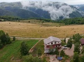 Domeniul H