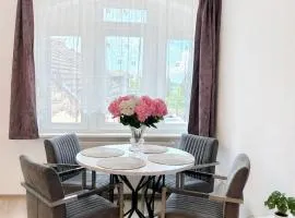 Ferienwohnung direkt am Rhein in Nierstein
