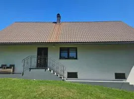Francek house Podčetrtek