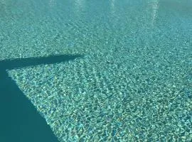 OLYMPUS PARK amnesia