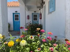 Anthemis Studios