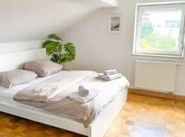 DG L- 40m2 2-Zimmer Wohnung 15 min von Salzburg entfernt