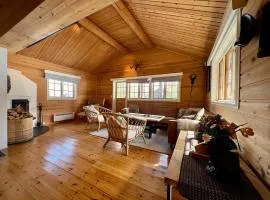 Mountain cabin with ski in-out Fageråsen Trysil