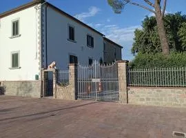 I leoni di Montecchio