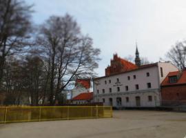 Hotel Nad Wierzycą，位于Pelplin的酒店