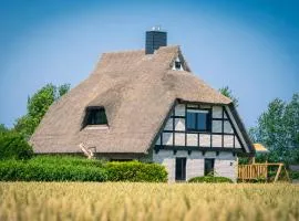Reetdachhaus Laurin in Dranske