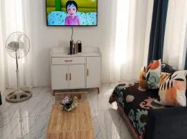 Vista Prime by JZ Homestay 2BR Home Near SM & CSU with Parking, WiFi, Netflix