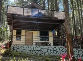 Jeden Glass House Mountain View