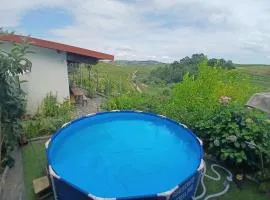 Quinta das Olgas