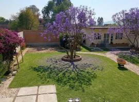 Casa LM
