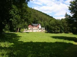 弗尔斯特豪斯酒店，位于巴特尚道的酒店