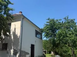 Kod Marijanovića