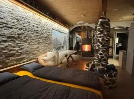 Studio am Brienzersee mit Kamin, Küche & Gratis Parking