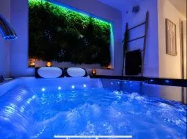 Beau gîte avec jacuzzi