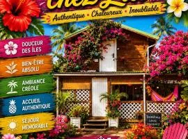 Le Cosy Bungalow de Lili / 5min de l'aéroport