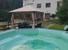 Vila Apuseni