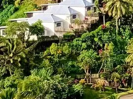 Savusavu Terraces - Unit 1
