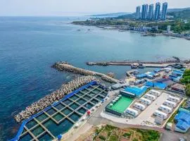 Haewon Caravan & Sea Fishing