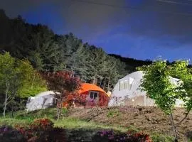 Wonju Forest Dome