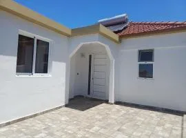 Madeira Pura
