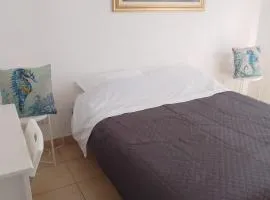 Ippocampo