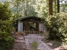 Chalet Mosso, cozy house among the tall trees and birds
