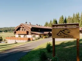Pension Hones