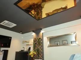 Apartman Spa Zelena dolina