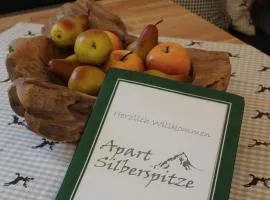 Apart Silberspitze