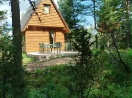 Durmitor Forest Retreat