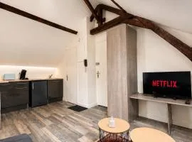 Studio en plein cœur de Laval - 5 min de la gare