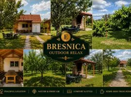 ErakStay - Bresnica