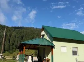 Jelovica Mountain