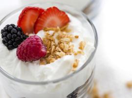 Hotel Janeiro Frontemare，位于利多迪耶索罗的酒店