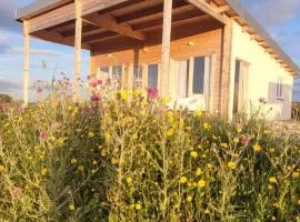 Gemütliches Holzhaus 2 auf der Quinta Oak Tree Land mit Weitblick & Pool