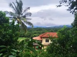 Mandagadde homestay sringeri