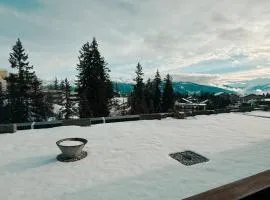 Studio avec vue spectaculaire au pied des pistes