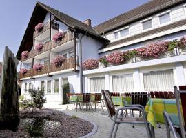 Gasthaus Seehof，位于Iznang的酒店