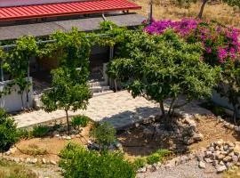 Garden Room by the Vineyard Salamis