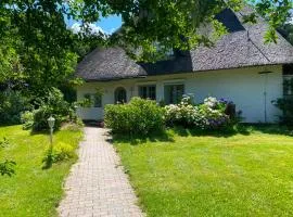 Reethüs am Klintumer Moor