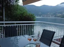 Drina Lake House