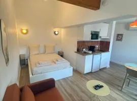 Studio Ô Maé Climatisé proche Village Outlet - Aéroport