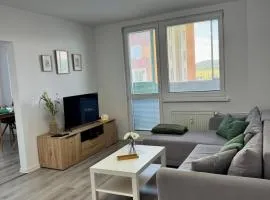 Spacious Apartment in Wine Region with 2 Balconies