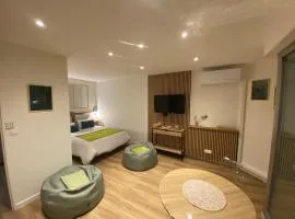 Meylan, T1 cosy & clim, proche Inovallée CHU, UGA