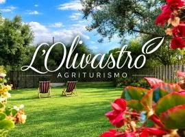 Agriturismo L'Olivastro