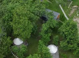 Tinutul Luanei Glamping Resort
