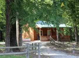 Charming Cozy Chalet on a Hill by the Cedar River in Letts, Iowa