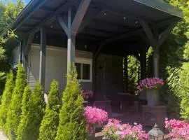 Lumobile
