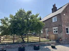 3 Bed in Cundall oc-l34088