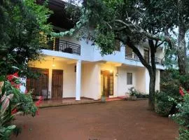 Hotel mango tree nearest Adam's peak